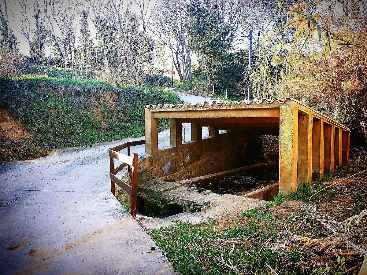 Cal Xaiet Guest House Llampaies Spain